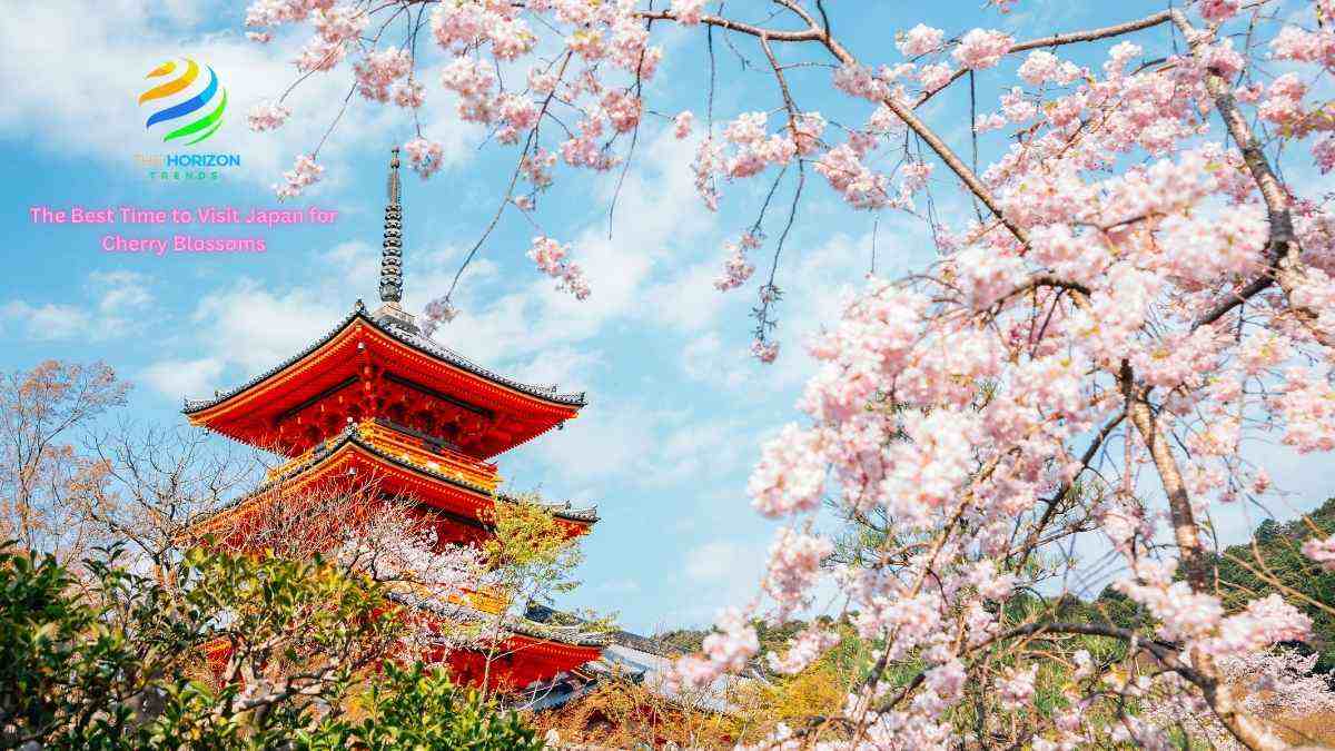 The Best Time to Visit Japan for Cherry Blossoms